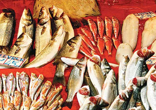 Avrupalılar "Türk balığı"nı sevdi