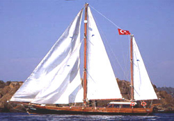 Üniversitelerarası Fleet Race