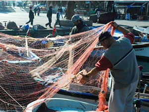 Karadeniz’de artık balıkçı yetişmiyor