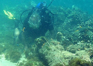 Amerika’yı keşfeden sancak gemisi Santa Maria'nın kalıntıları bulundu