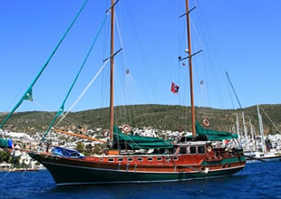 Ayvalık'ta Armutçuk ile Lale Adası arasına köprü yapılacak