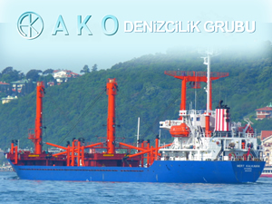 Türk bayraklı Mert Kalkavan isimli gemi İtalya'da tutuklandı