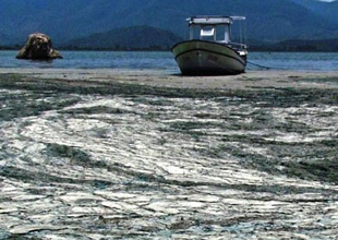 Bafa Gölü tekneyle kontrol altında tutuluyor