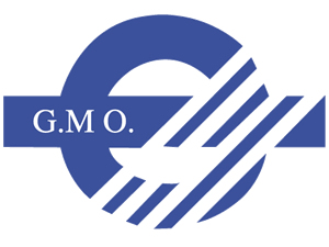 GMO: Özgecan Aslan katliamını ve bütün kadın cinayetlerini kınıyoruz