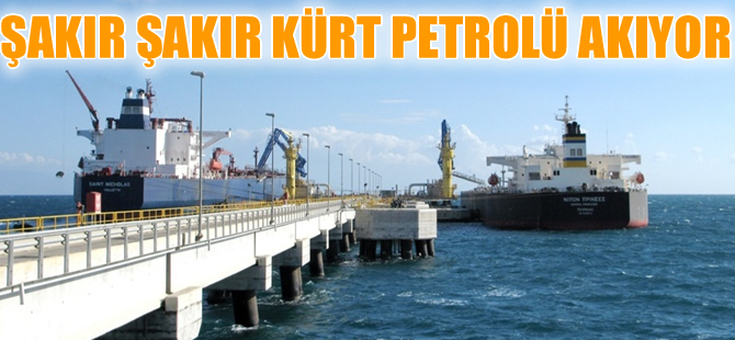 Ceyhan Limanı'na  Mayıs ayında 18 milyon varil petrol aktı