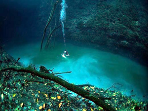 Okyanusun altında akan nehir büyülüyor