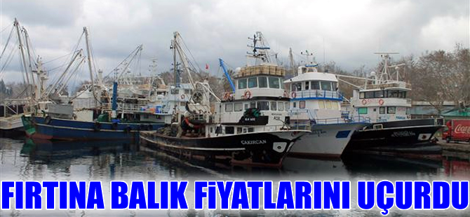 Karadeniz'de balık azaldı, tezgahları kültür balıkları süslemeye başladı