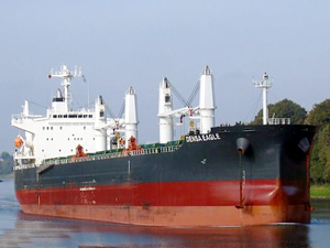 M/V DENSA EAGLE, günlüğü 9 bin dolara Western Bulk'a kiralandı