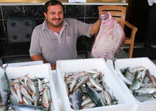 Hangi balık hangi mevsimde yenmeli?