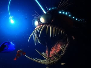 Siyah deniz şeytanı, 1900 metre derinlikte görüldü