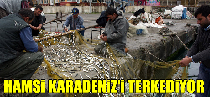 Karadeniz'de hamsi avında sona yaklaşıldı