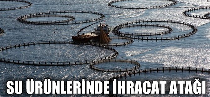 Doğu Karadeniz'de kültür balıkçılığı yüzde 5,5 arttı