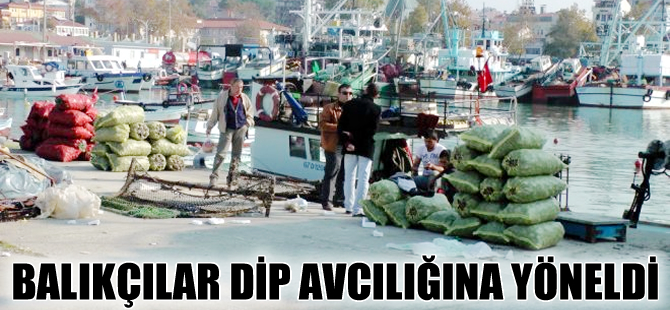 Balıkçılar salyangoz ve kum midyesi avlıyor