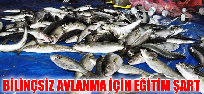 Çocuklarımız denizde balık bulmakta zorlanacak