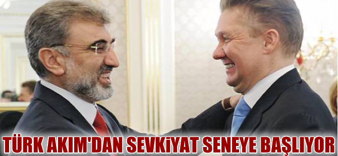 Türk Akım'ından sevkiyat seneye Aralık ayında başlayacak
