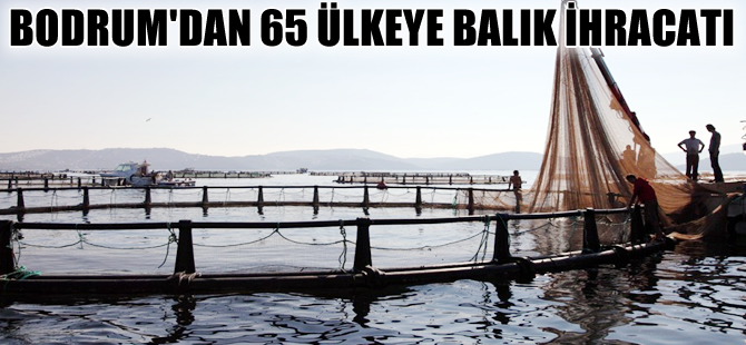 Bodrum'dan 65 ülkeye balık ihracatı yapılıyor