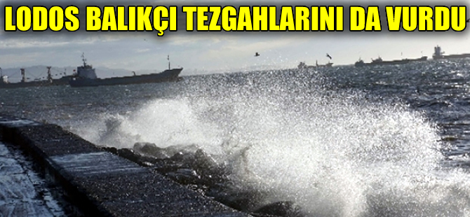 Lodos, balıkçı tezgahlarını fena vurdu