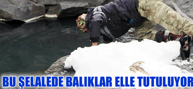 Karlıovalılar -20 derecede elle balık avlıyorlar