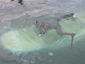 Çanakkale'de lodos nedeniyle batan tekneler kurtarıldı