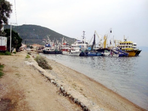 “Hamsi katliamı" Marmara balıkçısını erken paydos ettirdi