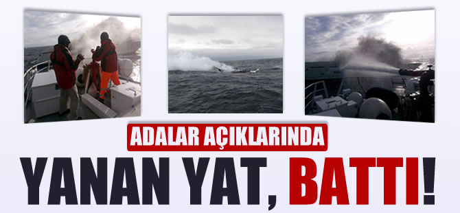 Çınarcık-Adalar arasında yanan Moon Dreams adlı yat battı