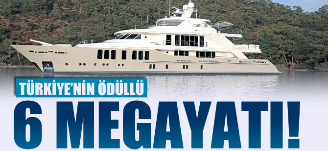 Türkiye’nin ödüllü 6 megayatı