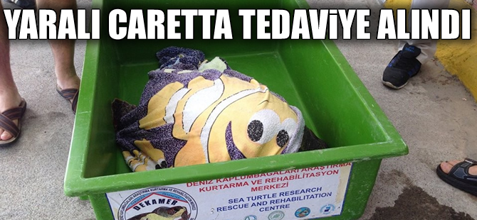 Yaralı caretta caretta Caretta Rehabilitasyon Merkezi'nde tedaviye alındı