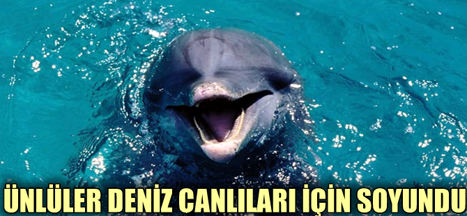 Ünlüler deniz canlıları için kamera karşısına geçti