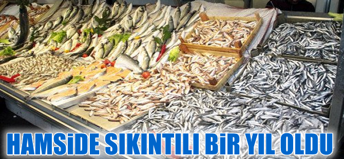 Balıkçıları bu sezon hamsi üzdü, palamut sevindirdi