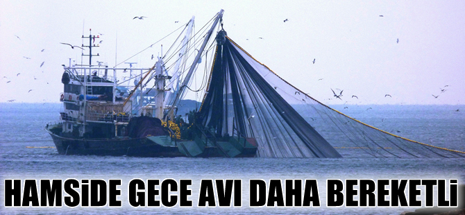 Hamside "Gece" avı  daha bereketli