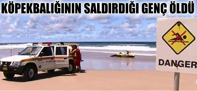 Avustralya'da sörf yapan kişiye köpek balığı saldırdı