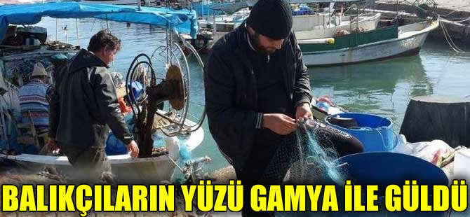 KKTC'de balıkçıların yüzü 'Gamya Balığı' ile güldü