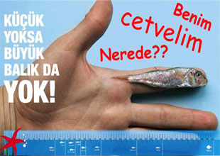 "Küçük Balık Yoksa Büyük Balık da Yok"