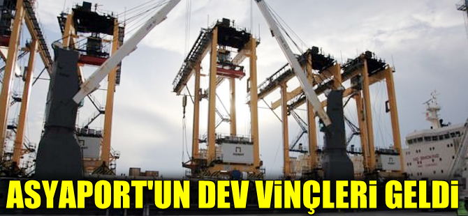 Asyaport dev vinçlerine kavuştu, açılış için geri sayım başladı