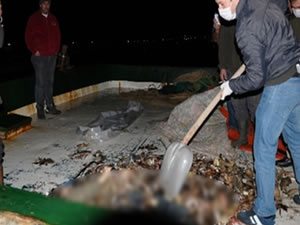 Çanakkale'de balıkçı ağına erkek cesedi takıldı
