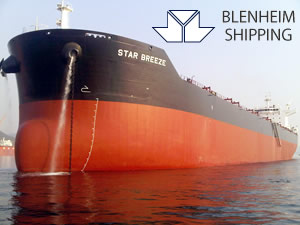 CAFIMA Holding'in armatörlük şirketi Blenheim'in filosu, banka borcu yüzünden satıldı