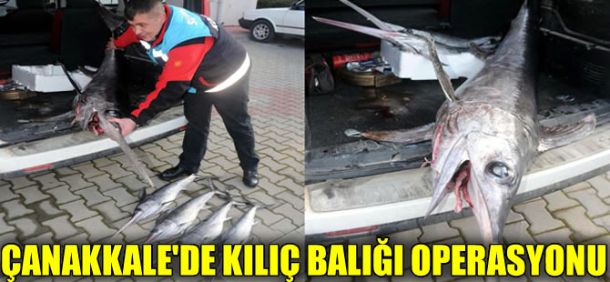 125 santimetrenin altında Kılıç balığını tutmak yasak