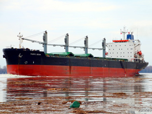 Ceren Denizcilik'e ait M/V PACIFIC OCEAN, Venedik Limanı'nda tutuklandı