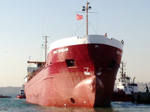 Türk şirketlerine ait gemiler, Avrupa limanlarında tutulmaya devam ediyor