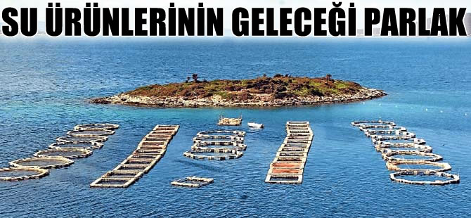 Su ürünleri ihracatı gelecek vaat ediyor