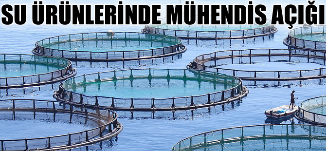 Su ürünlerinde mühendis açığı korkutuyor