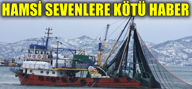 "Karadeniz'in Akdeniz'leşmesi hamsi azlığına neden oluyor"