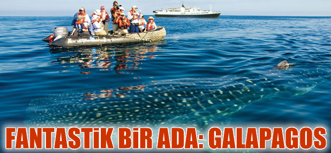Fantastik bir dünya: Galapagos Adaları