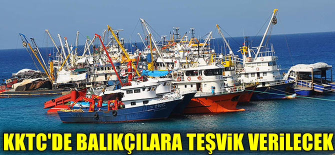 Kuzey Kıbrıs'ta balıkçılara teşvik primi verilecek