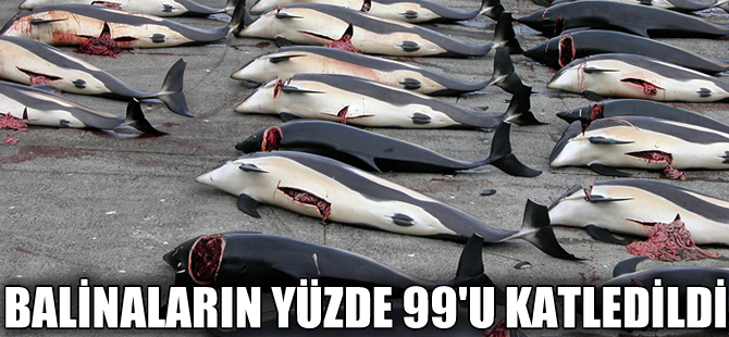 Geçen yüzyılda balinaların yüzde 99.1 yok oldu