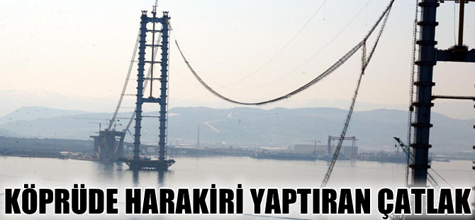 Japon mühendisi 'harakiri'ye götüren çatlak