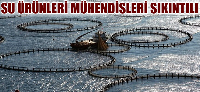 Su ürünleri mühendisleri işsizlik kıskacında