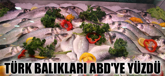 Türk balıkları Amerikan sofralarında