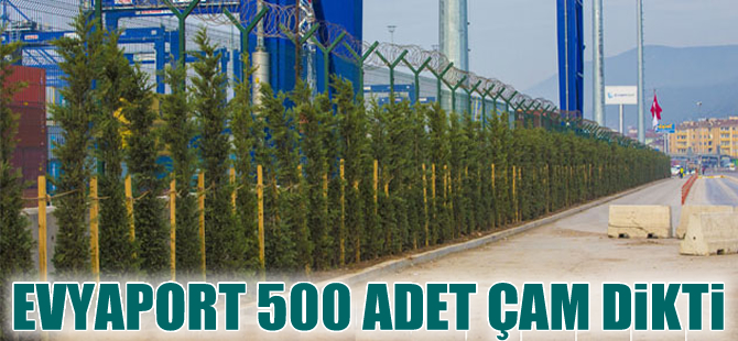 Evyapport 'Yeşil Liman'  unvanını boşuna almadı
