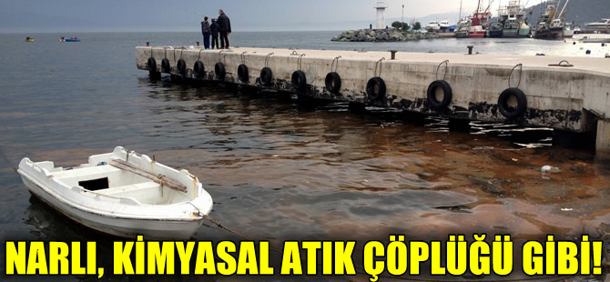 Narlı sahillerini yine kimyasal atıklar bastı